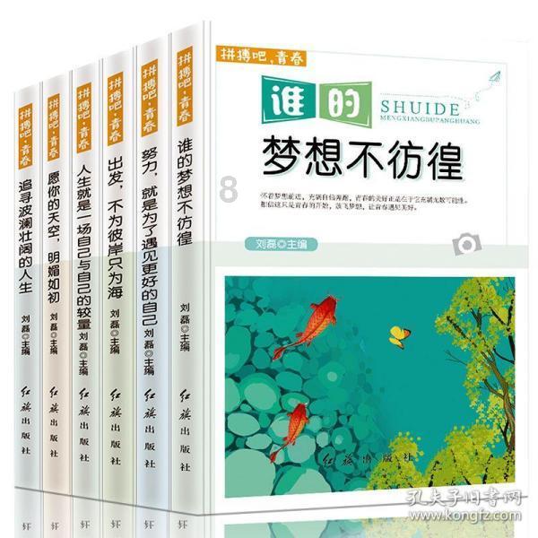 3833m是多少G内存？游戏画面